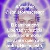 soniatorrescasagr