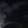 lee59_
