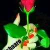 queenshacni12