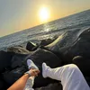 cenk67__
