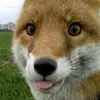roxyyxd7