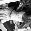 charlotte_frdc