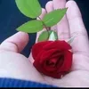 jdidyiekopsn