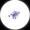 leonelsgfl