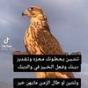 moh14071386