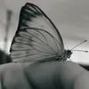 stefannyfonseca_