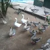 karmenromero641