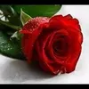 kiaraperes4