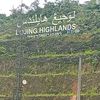 abdullahhalib
