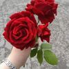 fiazhussain2771