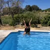 palomadanielsluz