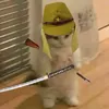 hitabunoru