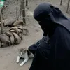 wzyfc