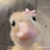 xyzztr1