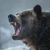 call.me.orso