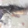 statakaka