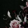 areej7070