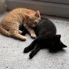 bumbleandbea