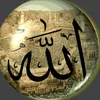 abou.yahya1981