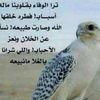 alial7rby0