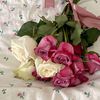 fatma21138