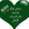 sayed.ahmed5117