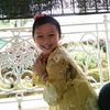 ppwits_myzar