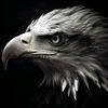 ayoub_farhi