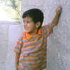 2007_iia