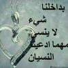 user3740653039859