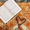 shehzadi03.5