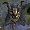 daz4_i