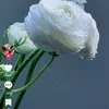 lk.lk.90