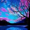 coco_everything2