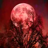 bloodmoon_moon19