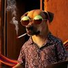 _de_todo_un_poco_211