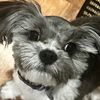 bunsen_0519
