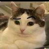 ronalds_god