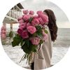 besh_560