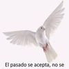 henrilopez935