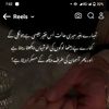 235zainab