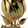 user2283952123798