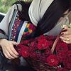 dove_1095