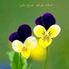 malik.rafiq87