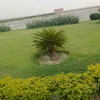 n4nasir
