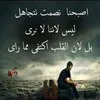 mustaphaeljelloul7