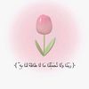mariam.azaher