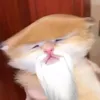 lebert1_