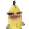 sa.bi.naaaa