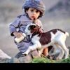 hassawny717